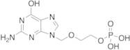 Acyclovir Monophosphate