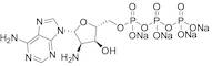 2'-Amino-2'-deoxyadenosine-5'-triphosphate Sodium Salt