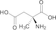 (S)-2-Amino-2-methylsuccinic Acid
