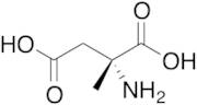 (R)-2-Amino-2-methylsuccinic Acid
