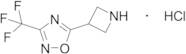 5-Azetidin-3-yl-3-(trifluoromethyl)-1,2,4-oxadiazole Hydrochloride
