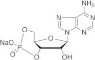 Adenosine-3’,5’-cyclic Monophosphate