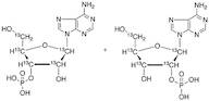 Adenosine Monophosphate (mixture of 2'(3')-phosphate isomers)-13C5 Sodium Salt