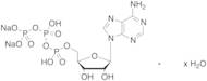 Adenosine 5’-Triphosphate Disodium Salt Hydrate