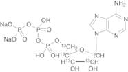Adenosine 5?-Triphosphate Disodium Salt-13C5