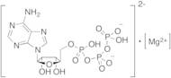 Adenosine 5'-triphosphate Magnesium Salt (>90%)