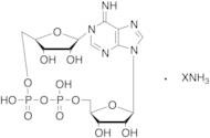 cADP-Ribose (cADPR) Ammonium Salt (~90%)