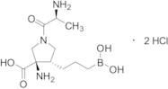 (3R,4S)-3-Amino-1-[(2S)-2-amino-1-oxopropyl]-4-(3-boronopropyl)-3-pyrrolidinecarboxylic Acid Dihyd…