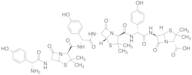 Amoxicillin Closed-loop Trimer