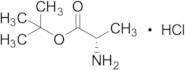 L-Alanine tert-Butyl Ester Hydrochloride