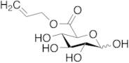 Allyl D-Glucuronate