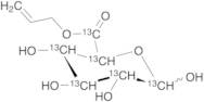 Allyl D-Glucuronate-13C6