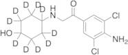 1-(4-Amino-3,5-dichlorophenyl)-2-((4-hydroxycyclohexyl-D10)amino)ethanone