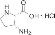 (R)-3-Amino-L-proline Hydrochloride