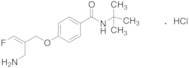 4-[[(2E)-2-(Aminomethyl)-3-fluoro-2-propen-1-yl]oxy]-N-(1,1-dimethylethyl)-benzamide Hydrochloride (1:1)