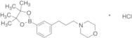 3-(3-Morpholinopropyl)phenylboronic Acid Pinacol Ester Hydrochloride