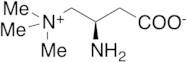 (R)-Amino Carnitine