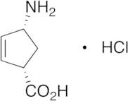 (1S,4R)-4-Amino-2-cyclopenten-1-carboxylic Acid Hydrochloride