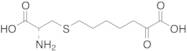 7-[[(2R)-2-Amino-2-carboxyethyl]thio]-2-oxo-heptanoic Acid