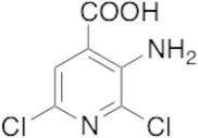 3-Amino-2,6-dichloroisonicotinic Acid