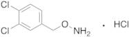 4-[(Aminooxy)methyl]-1,2-dichlorobenzenehydrochloride