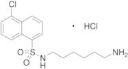 N-(6-Aminohexyl)-5-chloro-1-naphthalenesulfonamide Hydrochloride