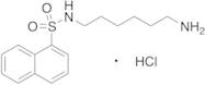 N-(6-Aminohexyl)-1-naphthalenesulfonamide Hydrochloride