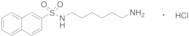 N-(6-Aminohexyl)-2-naphthalenesulfonamide Hydrochloride