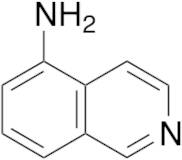 5-Amino Isoquinoline