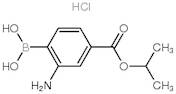 2-Amino-4-(isopropoxycarbonyl)phenylboronic Acid Hydrochloride