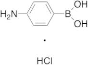 4-Aminophenylboronic Acid Hydrochloride