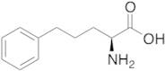 L-2-Amino-5-phenyl-pentanoic acid