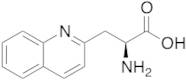(S)-2-Amino-3-quinolin-2-yl-propionic Acid
