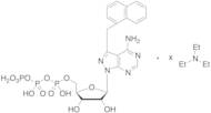 4-Amino-3-(1-naphthylmethyl)-1H-pyrazolo[3,4-d]pyrimidine-1-(β-D-ribofuranosyl-5’-triphosphate) Tr…