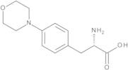 (2S)-2-Amino-3-(4-morpholin-4-ylphenyl)propanoic Acid