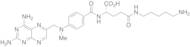 N-(5-Aminopentyl) Methotrexate Amide