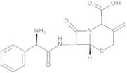 [6R-[6Alpha,7Beta(R*)]]-7-[(Aminophenylacetyl)amino]-3-methylene-8-oxo-5-thia-1-azabicyclo[4.2.0]octane-2-carboxylic Acid