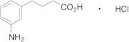 4-(3-Aminophenyl)butyric Acid, Hydrochloride