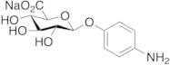 4-Aminophenyl β-D-Glucuronide Sodium Salt