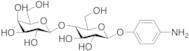 p-Aminophenyl b-D-Lactopyranoside