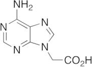 6-Amino-9H-purine-9-acetic Acid