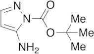 5-Aminopyrazole-1-carboxylic Acid Tert-butyl Ester O