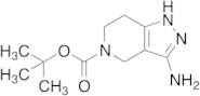 3-Amino-1,4,6,7-tetrahydropyrazolo[4,3-c]pyridine-5-carboxylic acid tert-butyl Ester