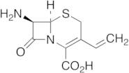 7-Amino-3-vinyl-3-cephem-4-carboxylic Acid