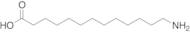 13-Aminotridecanoic Acid