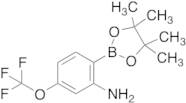 2-Amino-4-trifluoromethoxyphenylboronic acid pinacol ester