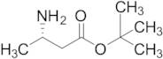 3-Amino-butyric Acid tert-Butyl Ester