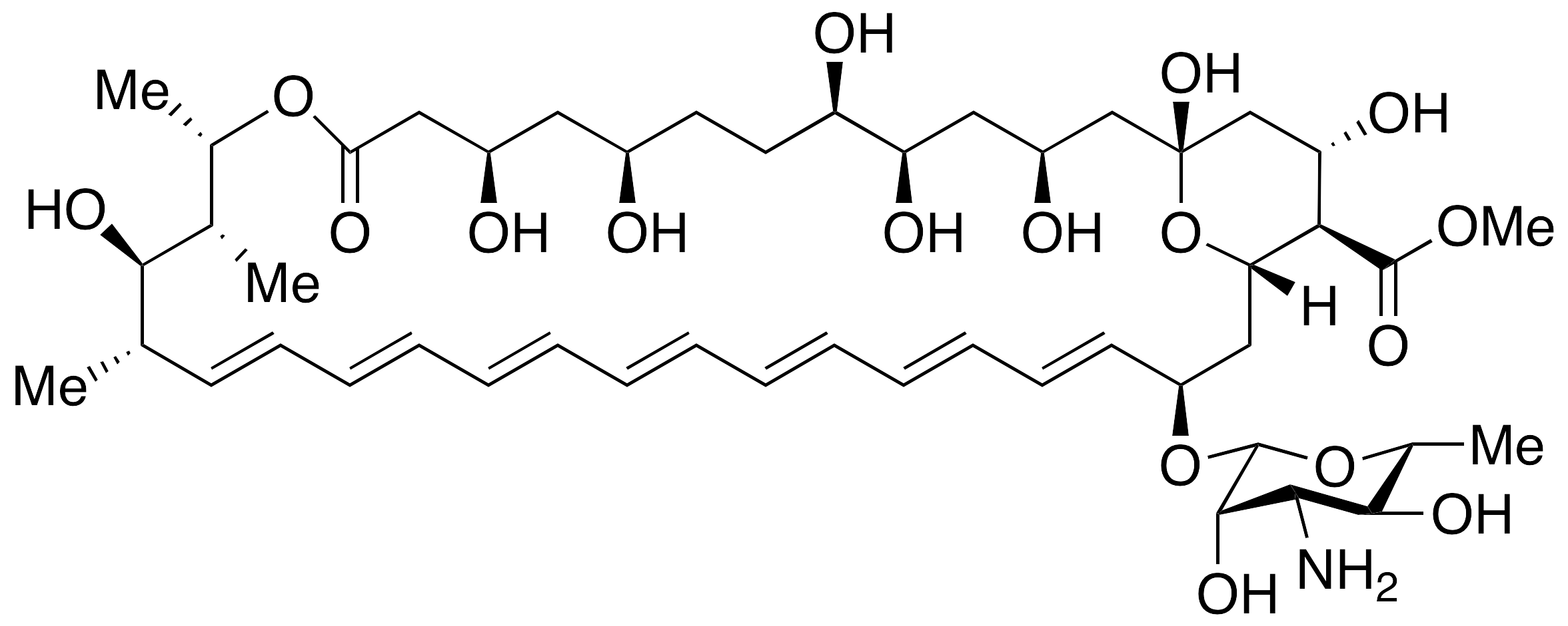 Amphotericin B Methyl Ester (>80%)