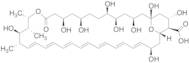 Amphoteronolide B (>80%)