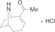 (+)-Anatoxin A Hydrochloride